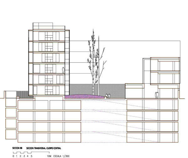 VIVIENDAS_JOVENES_SEVILLA_SECCION TRANSVERSAL TIPO POR CUERPO CENTRAL
